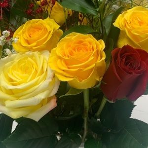 Meet your Posher, Sandra